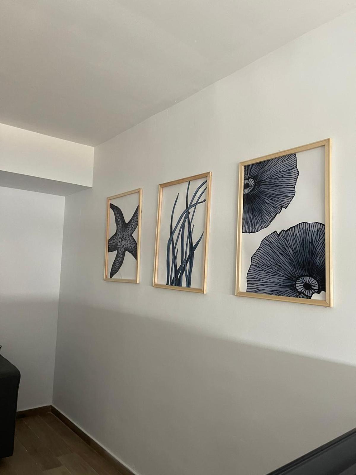 Apartamentos Matilda Кониль-де-ла-Фронтера Экстерьер фото